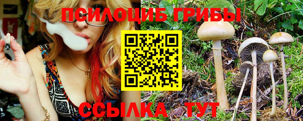 Псилоцибиновые грибы мицелий Бутурлиновка
