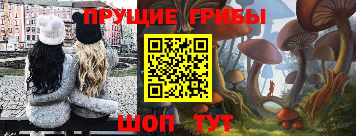 Бутурлиновка  Галлюциногенные грибы прущие грибы  Вход с VPN  Галлюциногенные грибы GOLDEN TEACHER 
